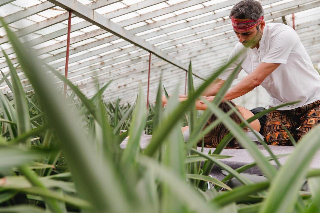Herdade Do Ananas Ponta Delgada Kültér fotó