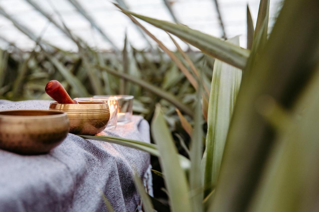 Herdade Do Ananas Ponta Delgada Kültér fotó
